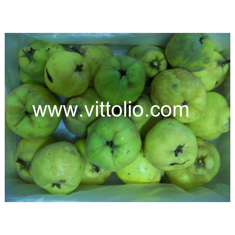 Naturnes Purea di frutta Mele Cotogne - 4/6 mesi 4x130g, acquista online